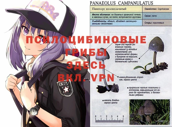 MESCALINE Волосово