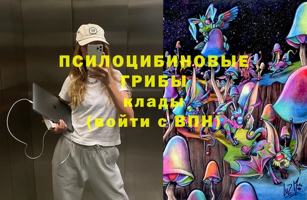 PSILOCYBIN Костерёво