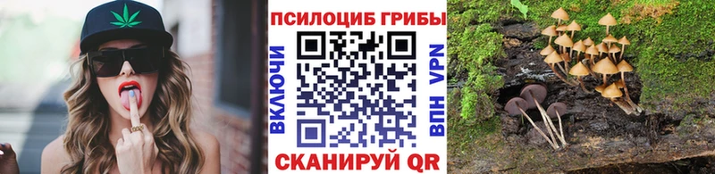хочу   Гаврилов Посад  Галлюциногенные грибы Psilocybe 